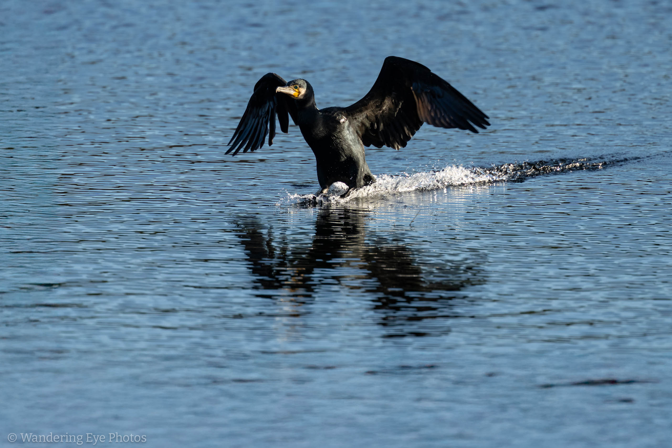 12.06 10.06.38 DSC05930 Edit